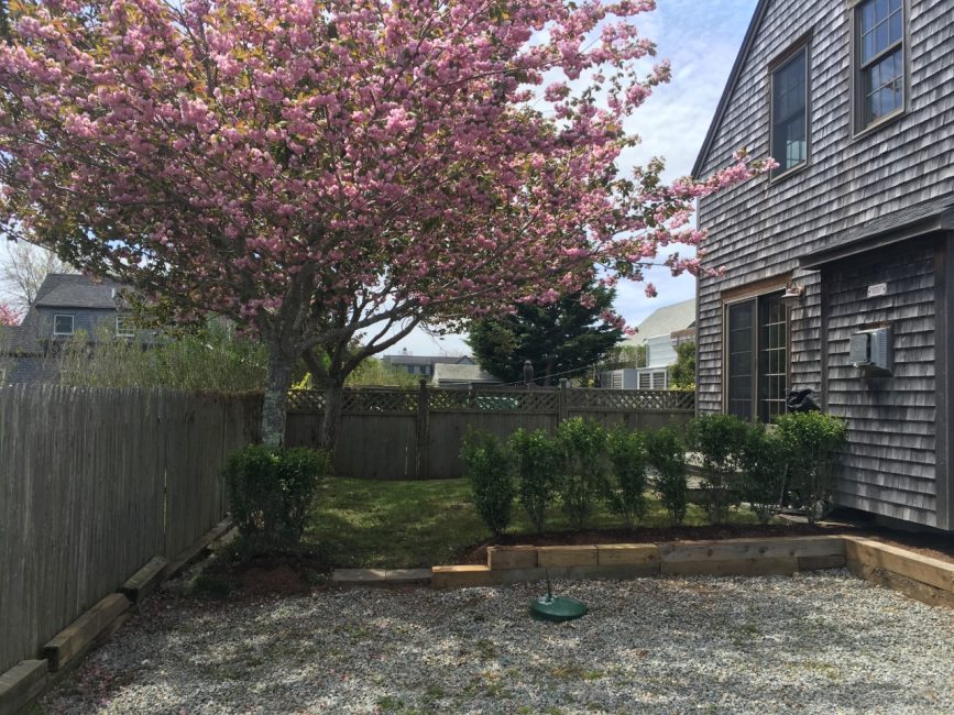 20B Miacomet Avenue # B Nantucket Image