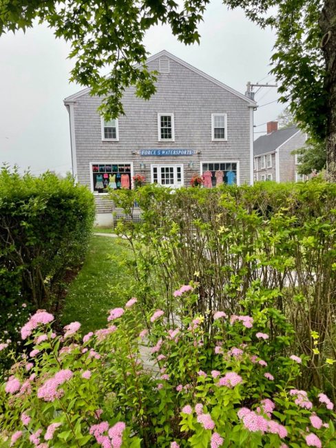  6 Union Street Image 7
                                    