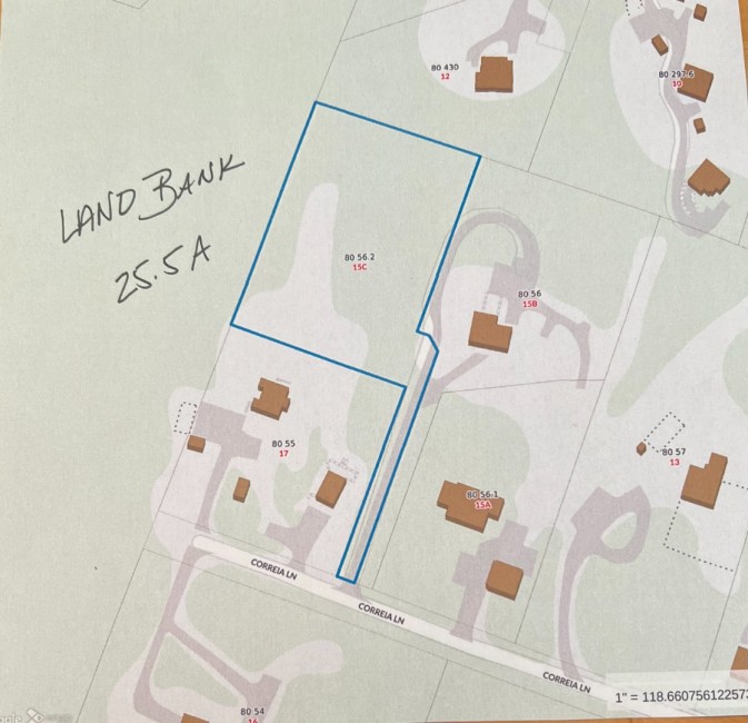  15C Correia Lane Image 1
                                    