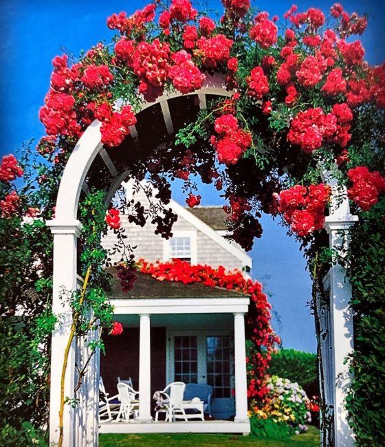 5 Emily Street Nantucket Image