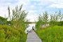 11 Columbus Avenue Nantucket Thumb 