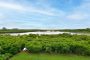 11 Columbus Avenue Nantucket Thumb 