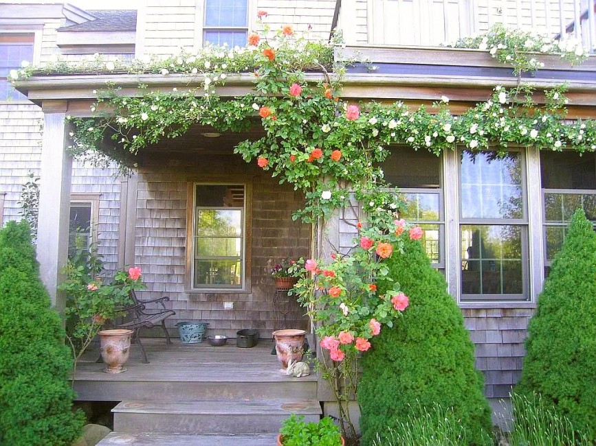  263 Polpis Road Image 4
                                    