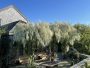 263 Polpis Road Nantucket Thumb 