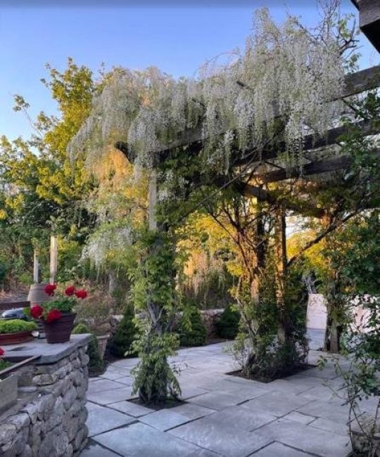  263 Polpis Road Image 23
                                    
