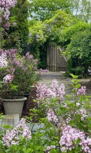  263 Polpis Road Image 33
                                    