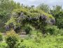 263 Polpis Road Nantucket Thumb 