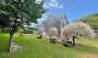 31 Millbrook Road Nantucket Thumb 