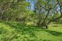 268 Polpis Road Nantucket Thumb 