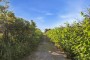 1 Chadwick Court Nantucket Thumb 