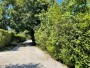 22 King Street Nantucket Thumb 
