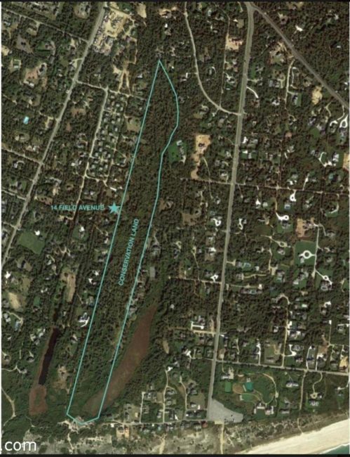  14 Field Avenue Image 40
                                    