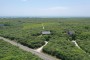 49 Tom Nevers Nantucket Thumb 