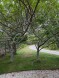 49 Tom Nevers Nantucket Thumb 