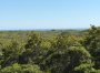 49 Tom Nevers Nantucket Thumb 