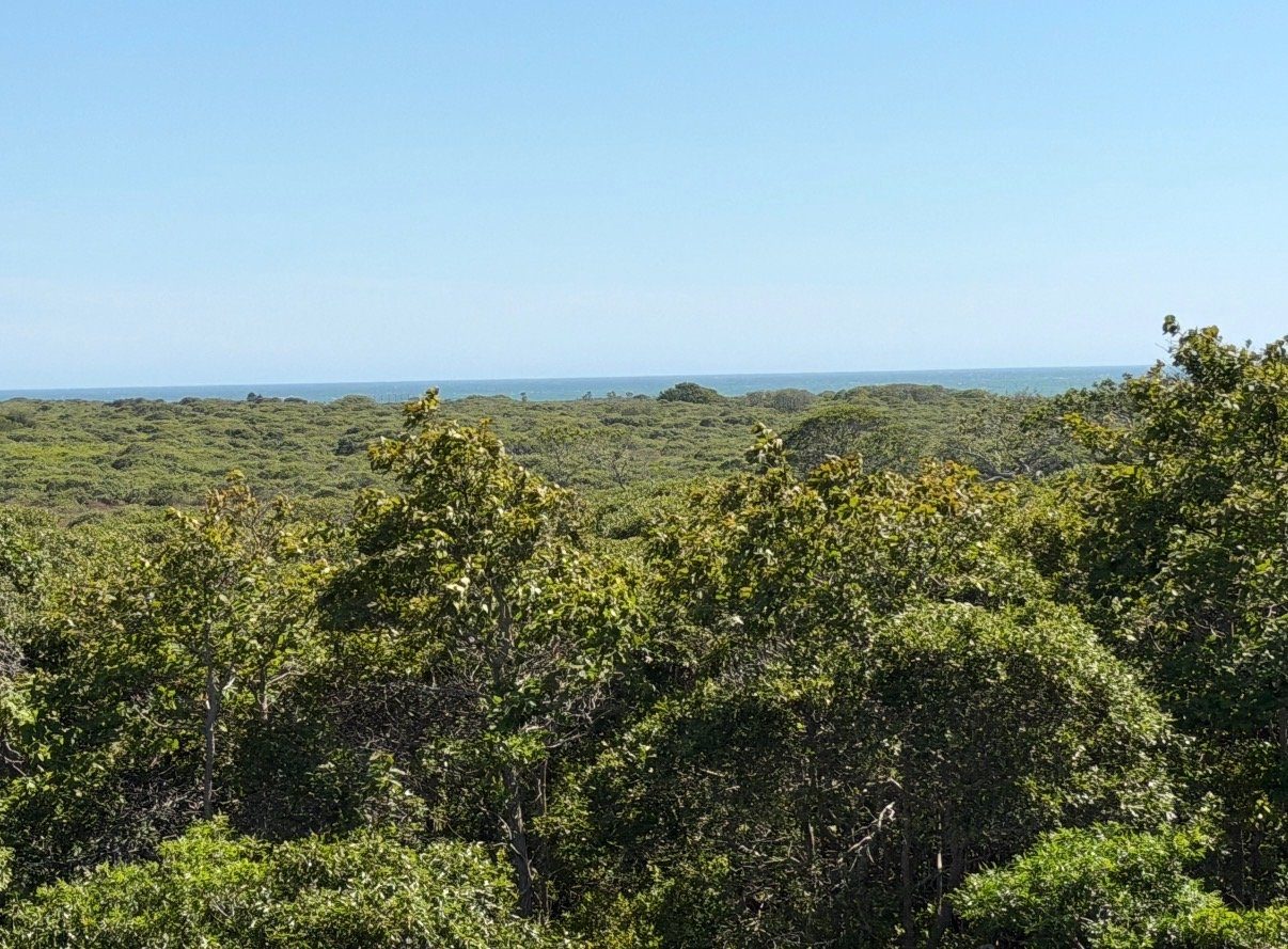 Nantucket Real Estate