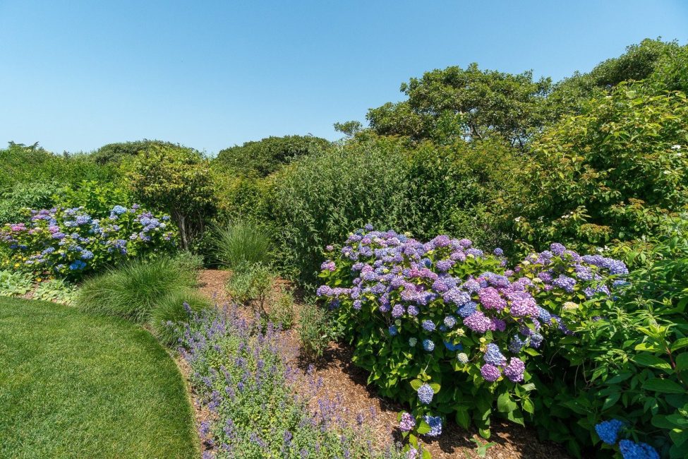  8 Monomoy Road Image 67
                                    