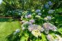 8 Monomoy Road Nantucket Thumb 