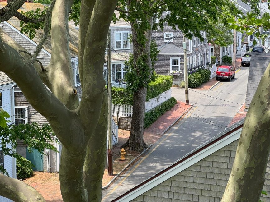  50 Fair Street Image 65
                                    