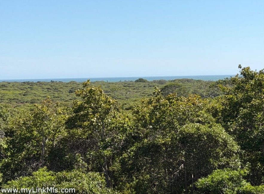  49 Tom Nevers Road Image 1
                                    