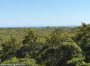 49 Tom Nevers Road Nantucket Thumb 