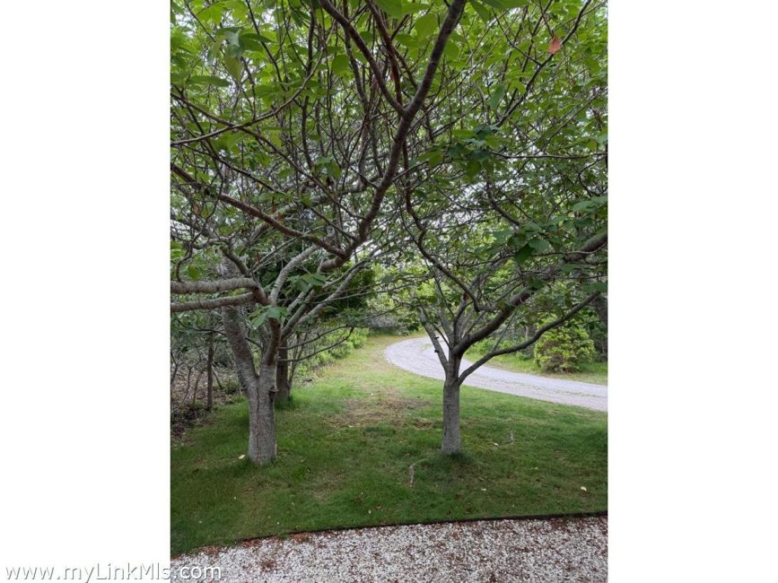  49 Tom Nevers Road Image 5
                                    