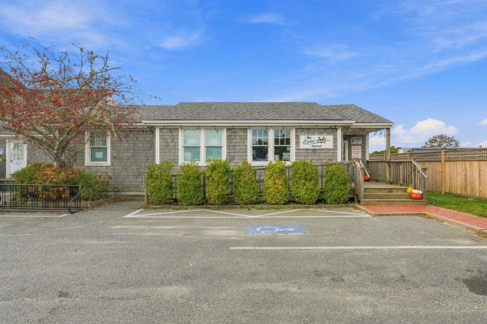  11 Amelia Drive Image 4
                                    