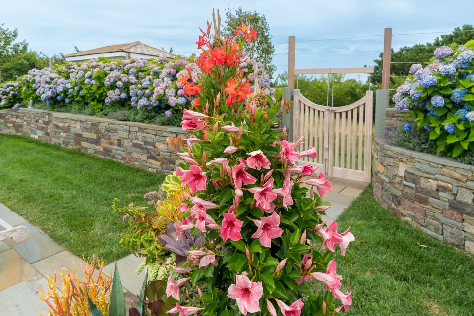                                     30 Eel Point Road Nantucket Rental Image 101
                                