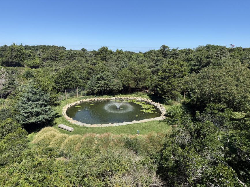                                     137 Polpis Road  Nantucket Rental Image 30
                                